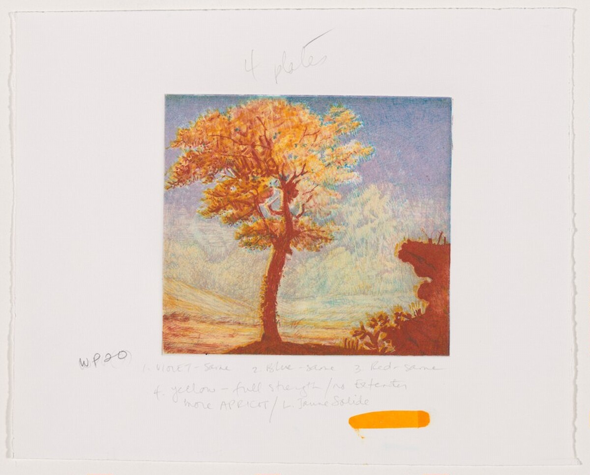 Untitled (#2) [working proof 20] by Joan Nelson