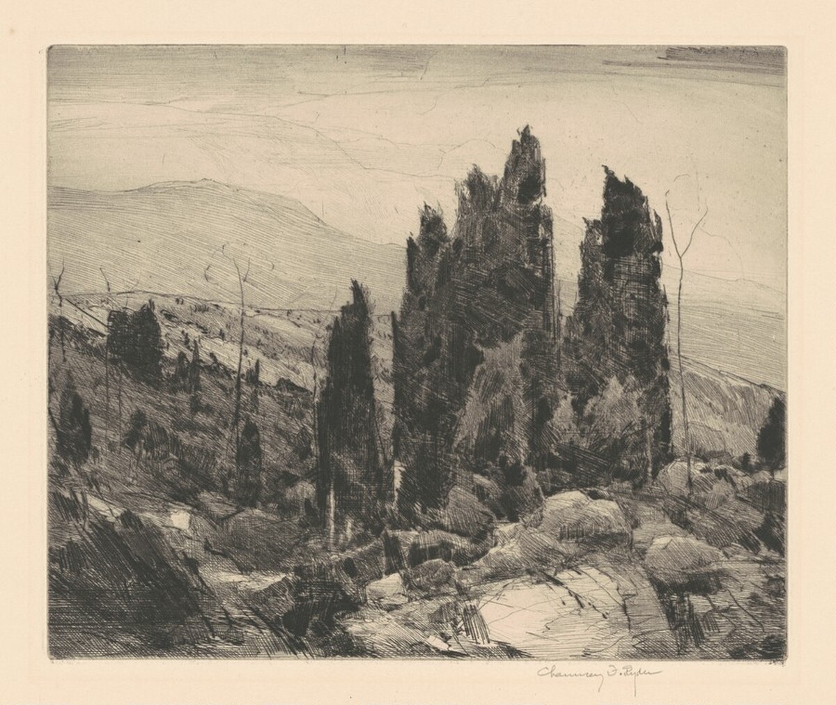 Spruce Land by Chauncey Foster Ryder