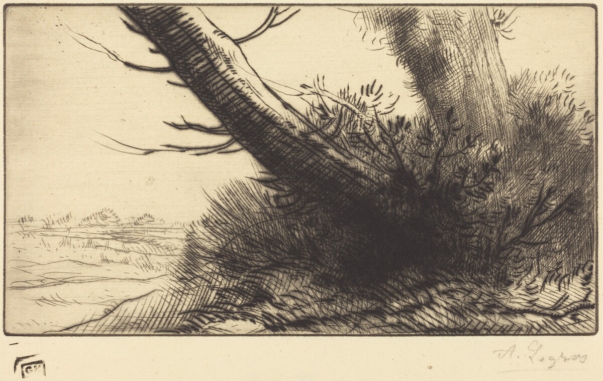 Corner of a Path (Au coin d'un chemin) by Alphonse Legros