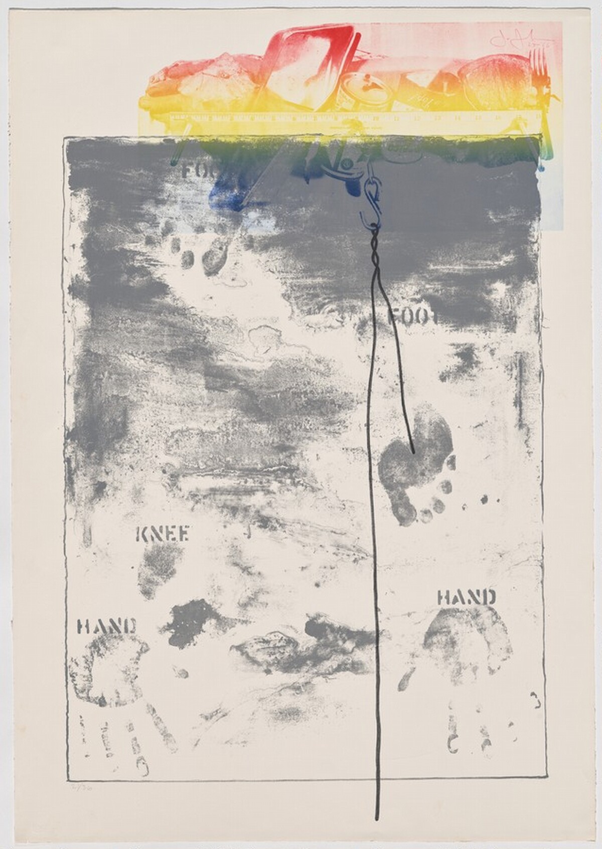 Pinion by Jasper Johns