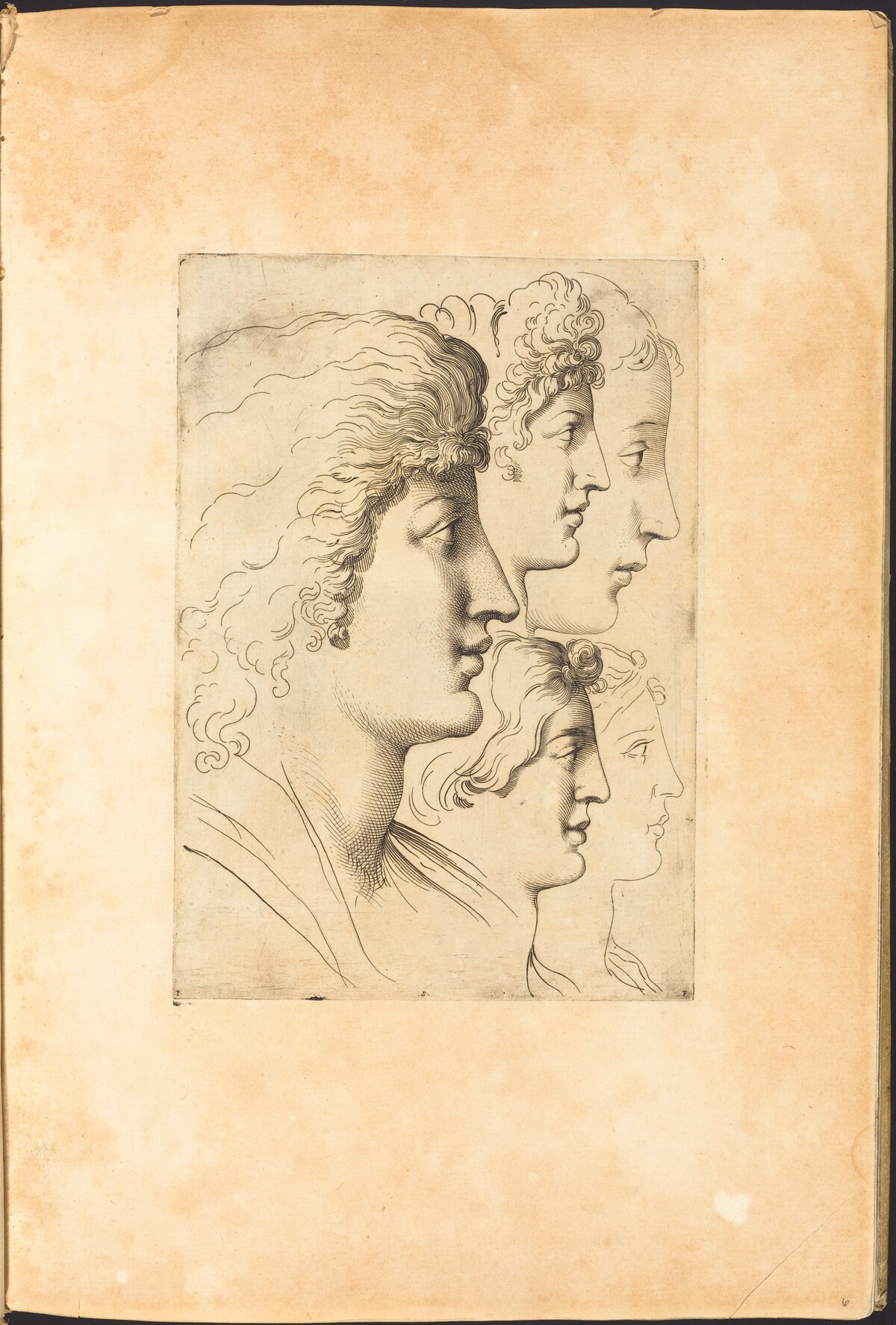 Print from Drawing Book by Luca Ciamberlano