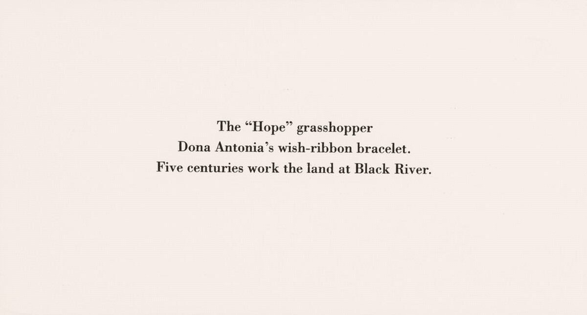 The "Hope" Grasshopper. Dona Antônia's Wish-Ribbon Bracelet. Five Centuries Work the Land at Black River. by Fazal Sheikh