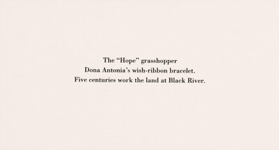 The "Hope" Grasshopper. Dona Antônia's Wish-Ribbon Bracelet. Five Centuries Work the Land at Black River.