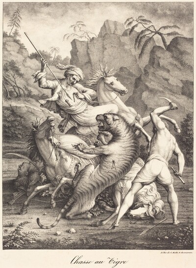 Tiger Hunt
