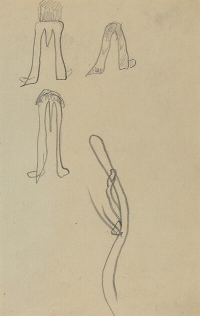 Four Fantastic Forms [recto]