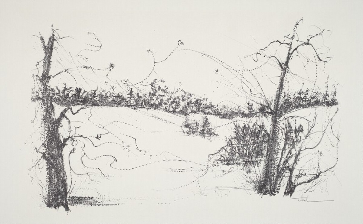 Trees and Fields by Peter Takal
