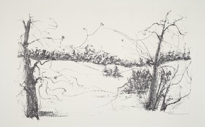 Trees and Fields