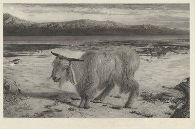 The Scapegoat