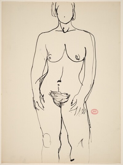 Untitled [front view of a standing female nude]
