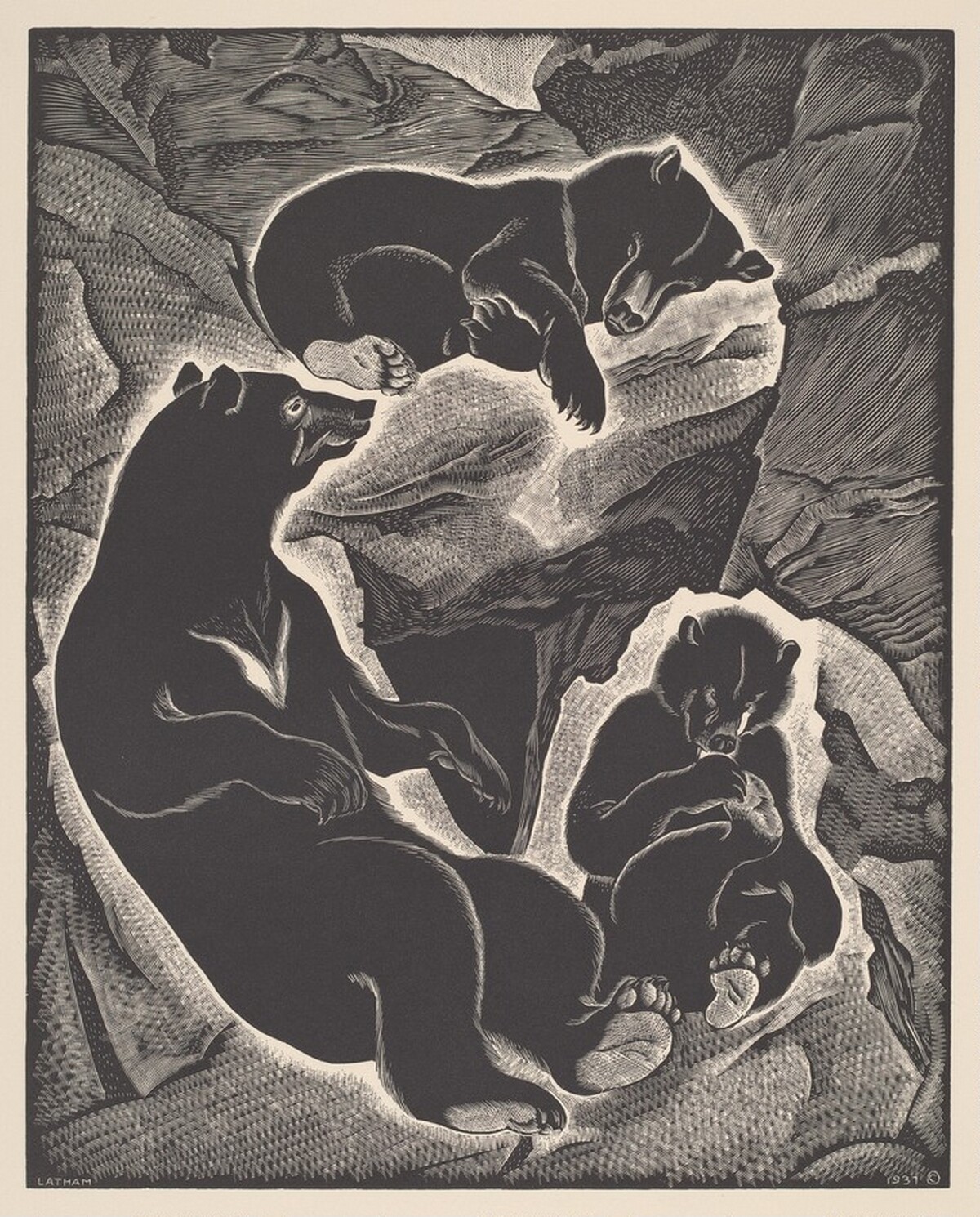 The Bear Family by Barbara Latham