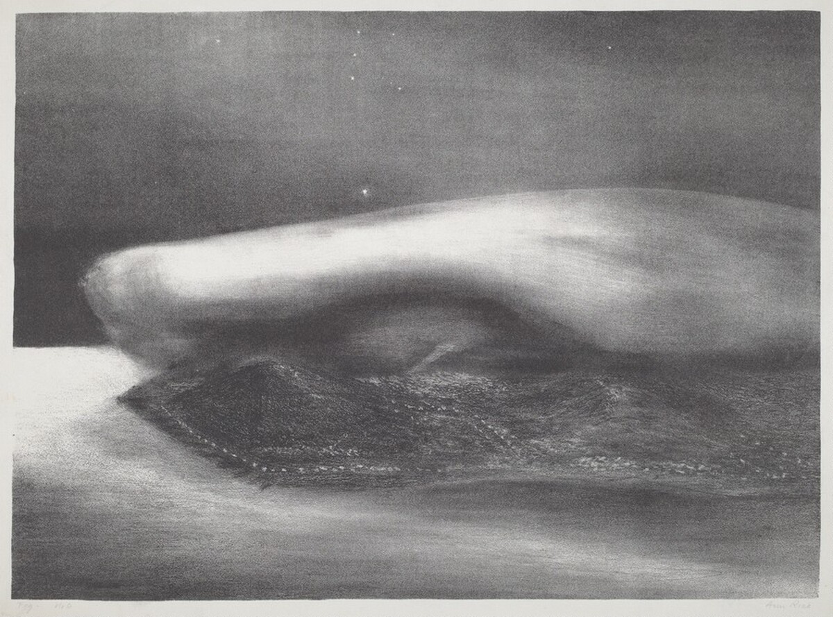Fog No. 6 by Ann O'Hanlon