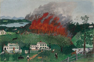 A Fire in the Woods
