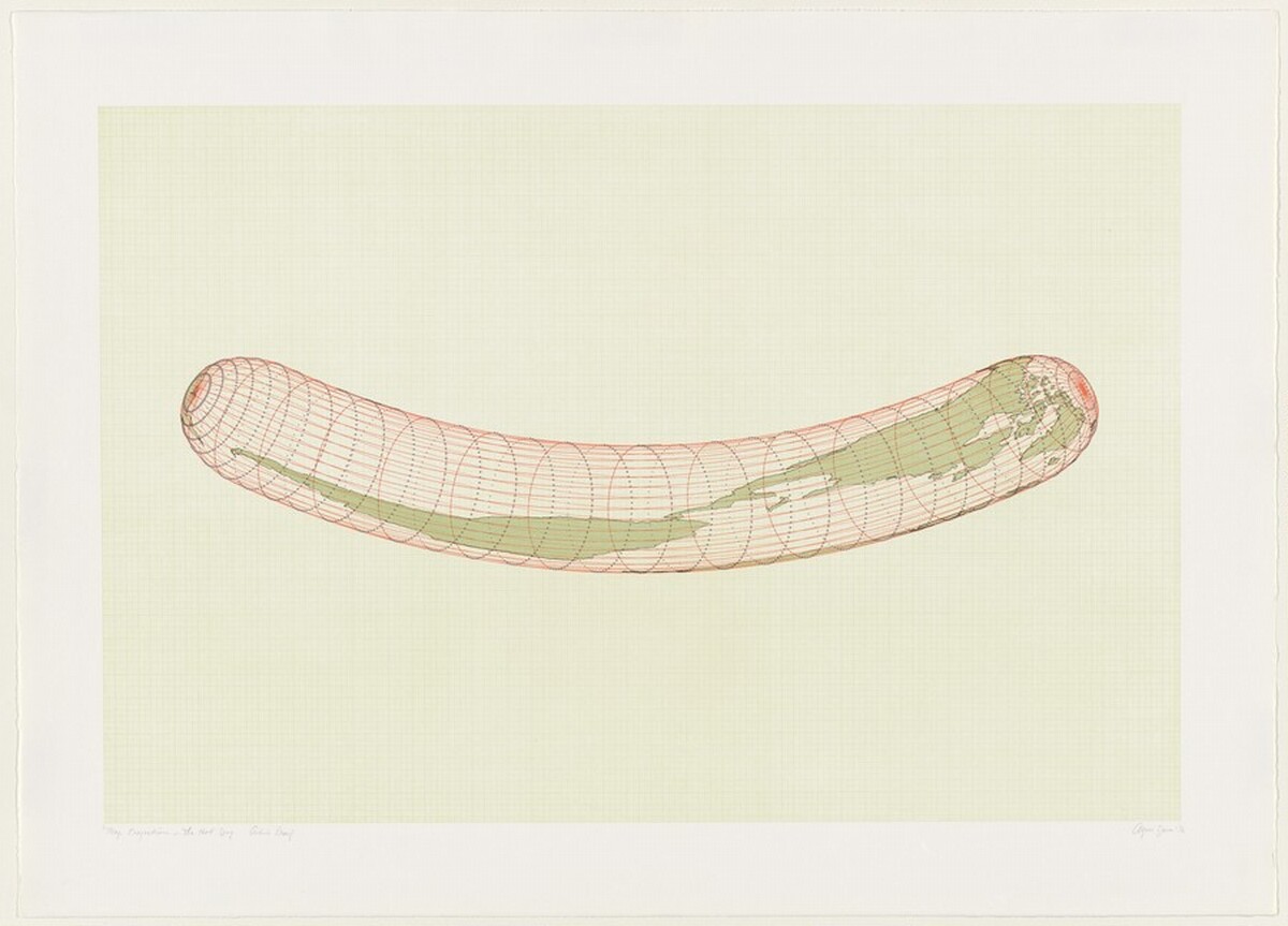 Map Projections: The Hot Dog by Agnes Denes