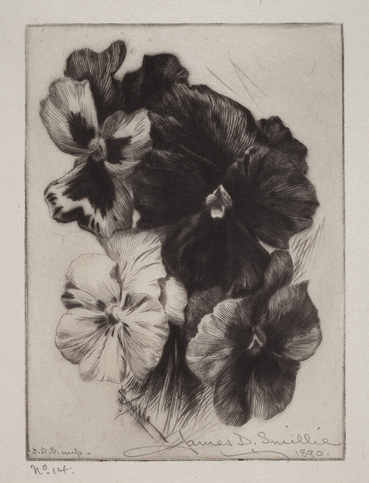 A Bunch of Pansies by James David Smillie