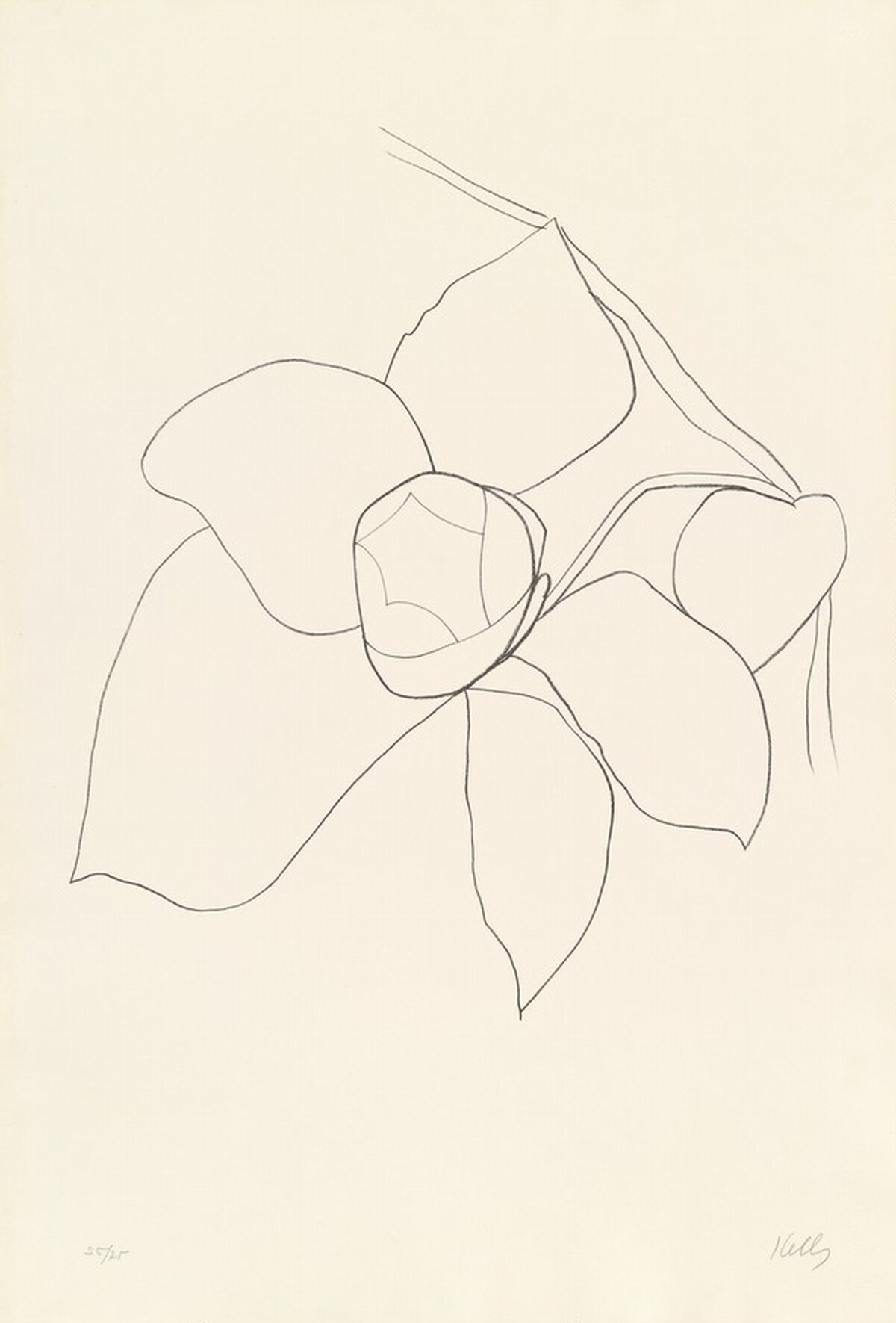 Camellia II by Ellsworth Kelly