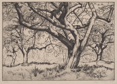Apple Trees