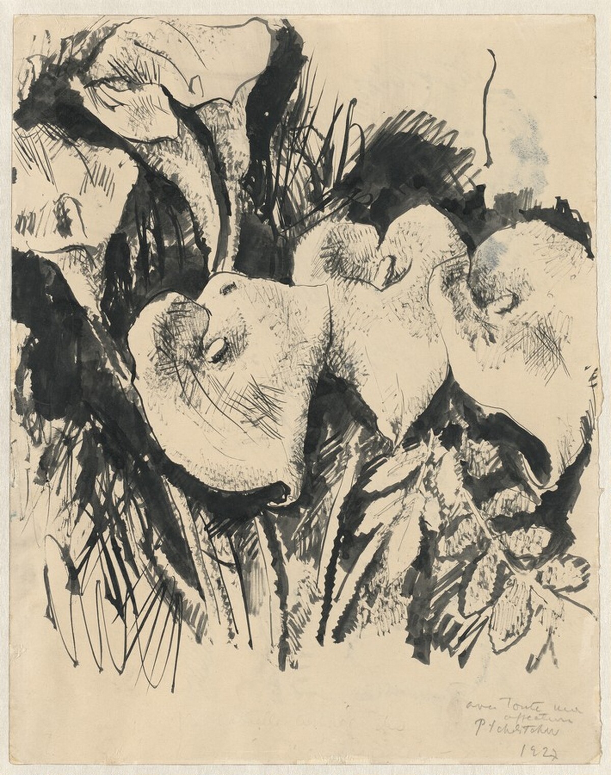 Calla Lilies (recto) by Pavel Tchelitchew