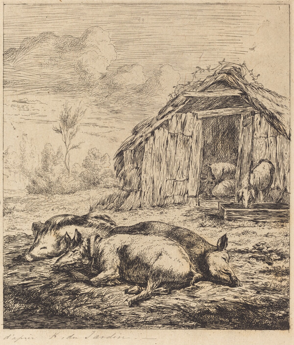 Les trois cochons couchés devant l'étable (Three Swine Lying In Front of a Sty) by Charles Meryon after Karel Dujardin