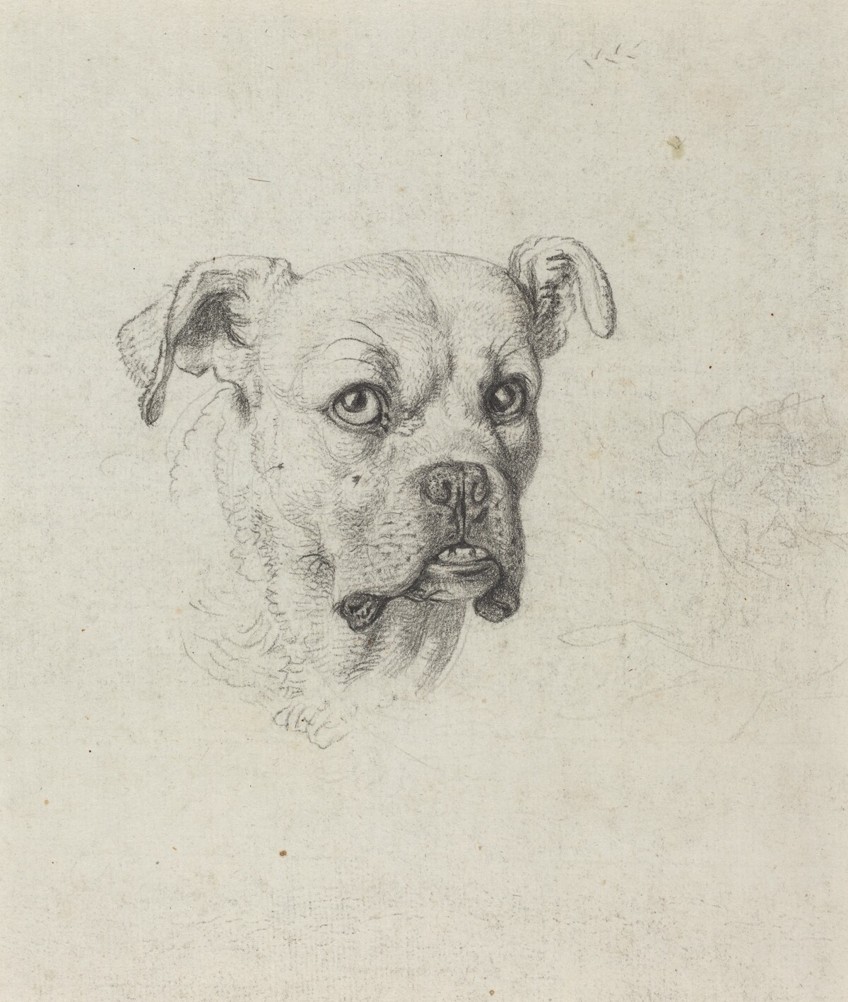 A Boxer by Johann Heinrich Wilhelm Tischbein