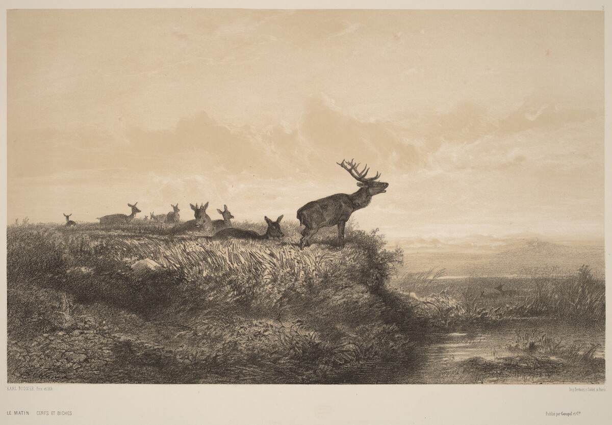 Le Matin by Karl Bodmer