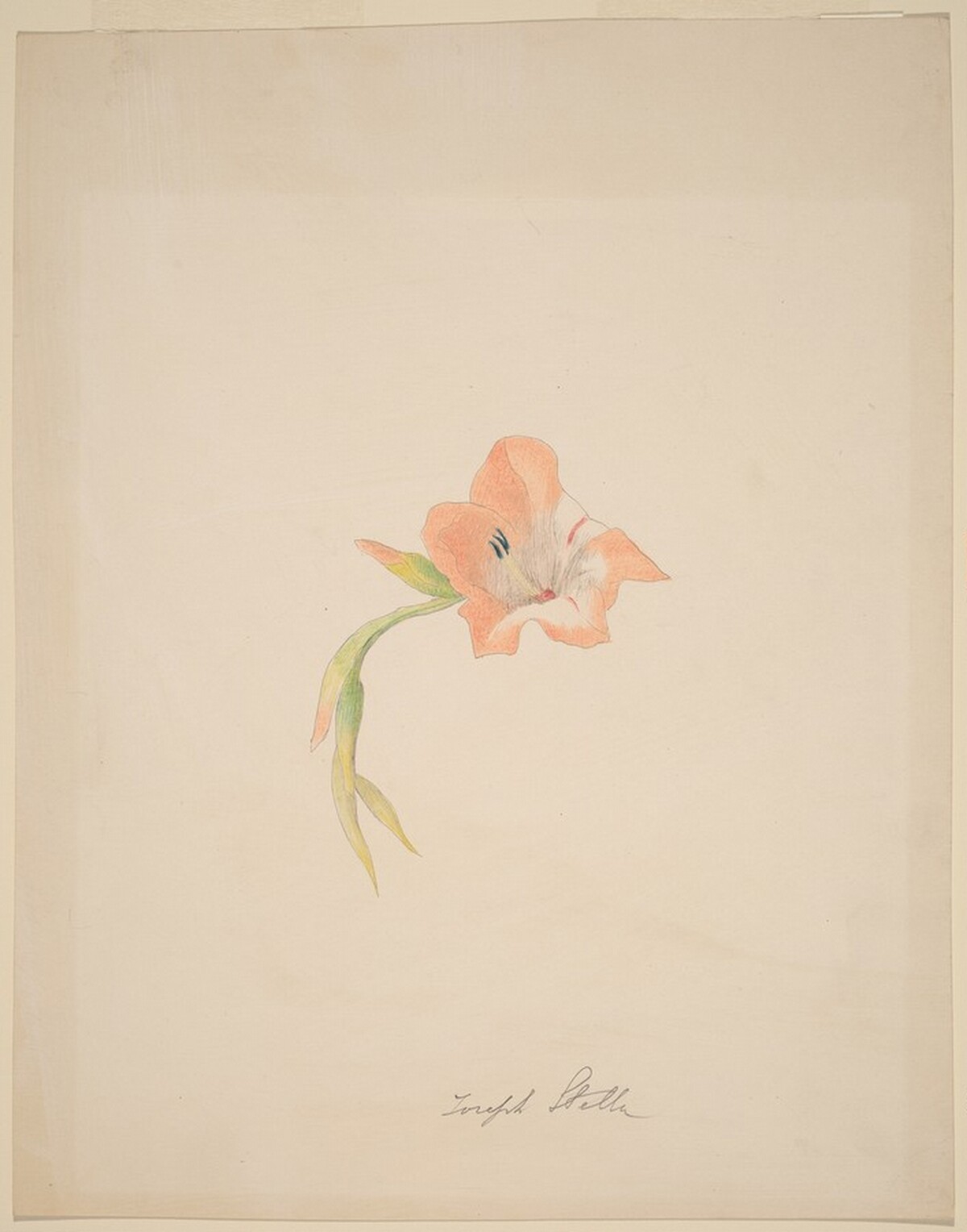 Orange Gladiola by Joseph Stella
