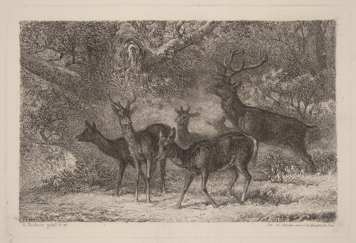 Le harde by Karl Bodmer