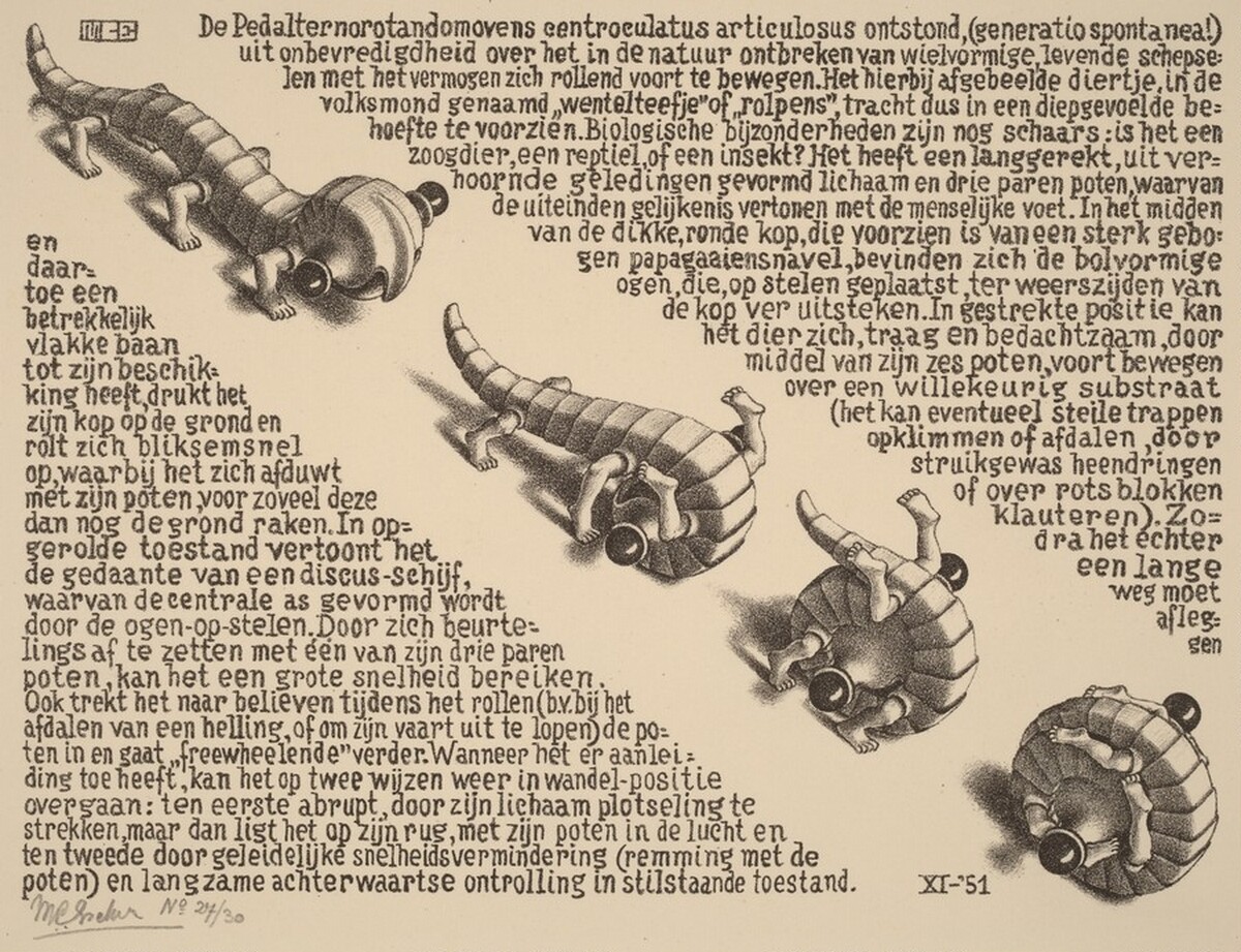 Curl-up by M.C. Escher