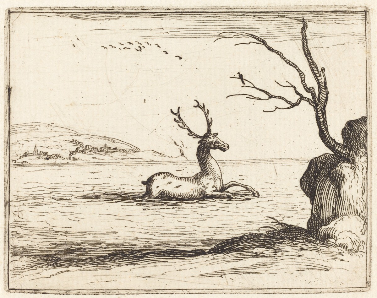 Stag in the Water by Jacques Callot