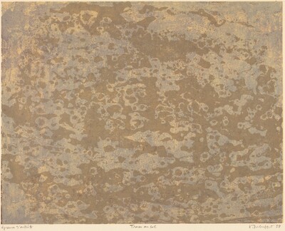 Traces au sol