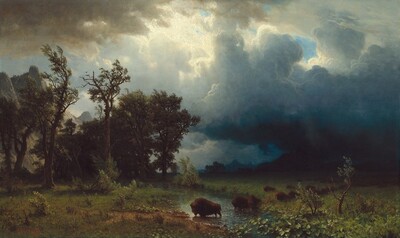 Buffalo Trail: The Impending Storm