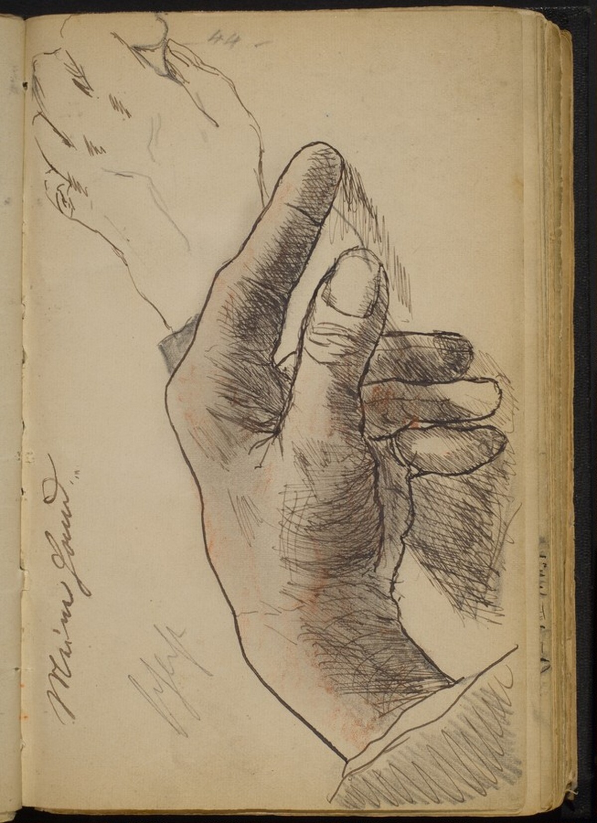 Two Studies of a Left Hand by Max Beckmann