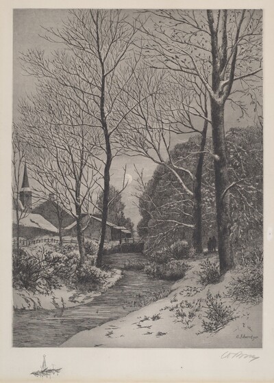 Moonlit Stroll in Winter