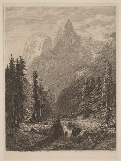 Mountain Meadow