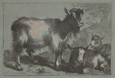 Goat and Two Kids