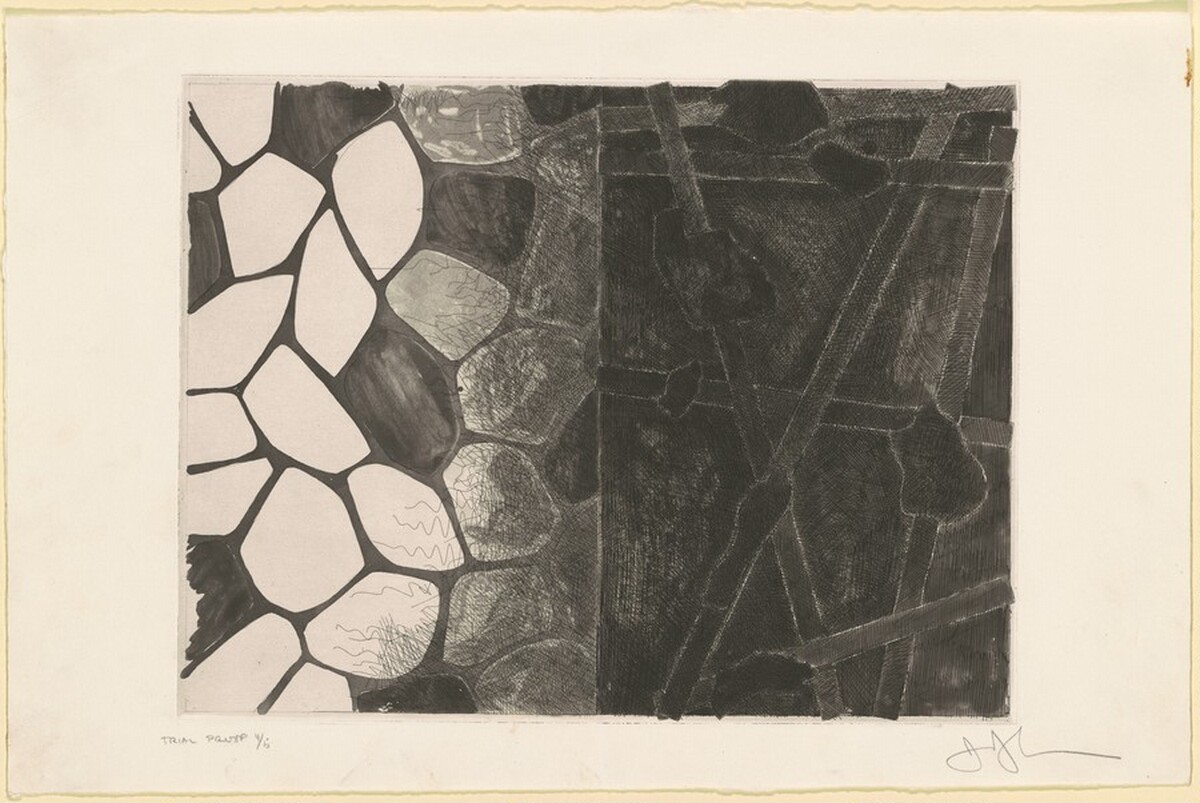 Flagstones and Casts [trial proof] by Jasper Johns