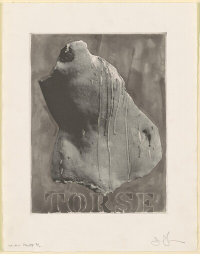 Torse [trial proof 2]