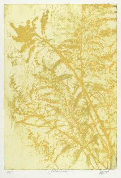 Goldenrod