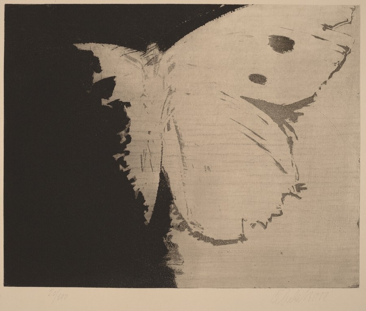 Motyl (Butterfly) by Ladislav Cepelák
