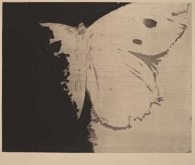 Motyl (Butterfly)