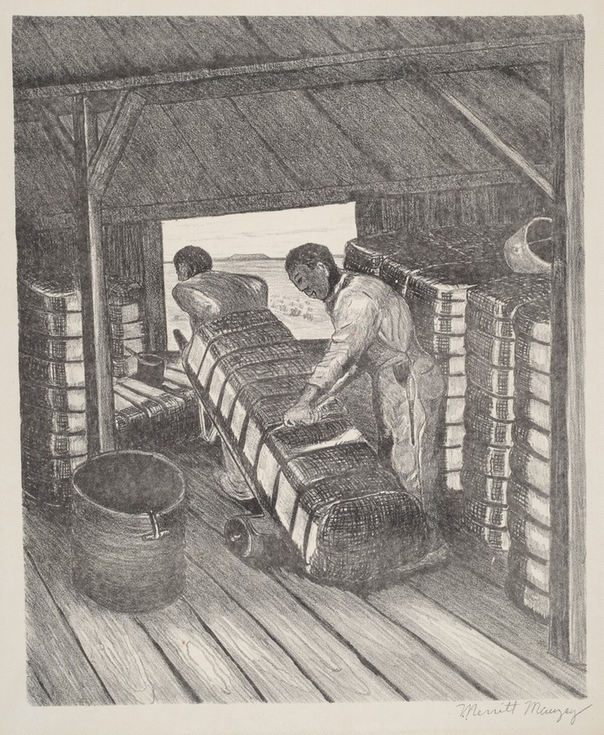 Sampling Cotton by Merritt Mauzey