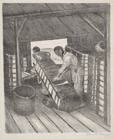 Sampling Cotton