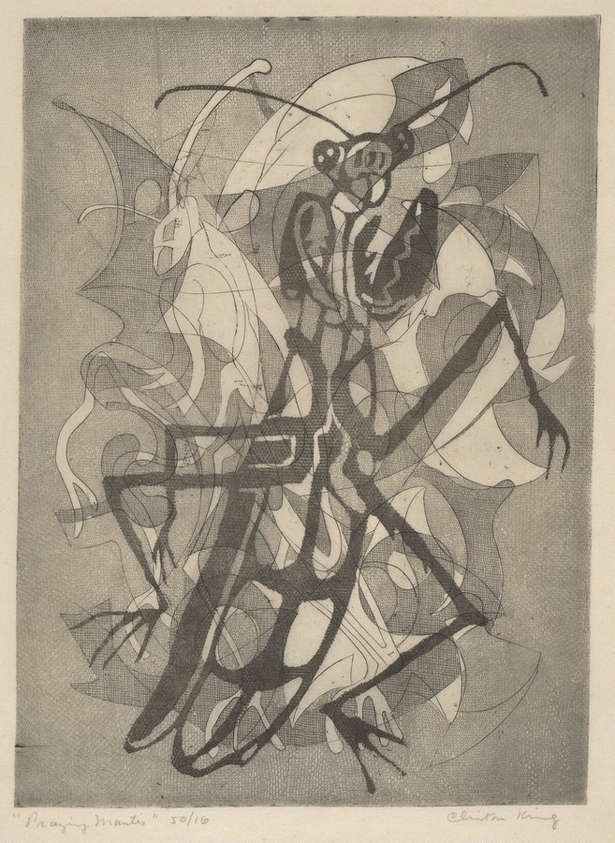Praying Mantis by Clinton Blair King