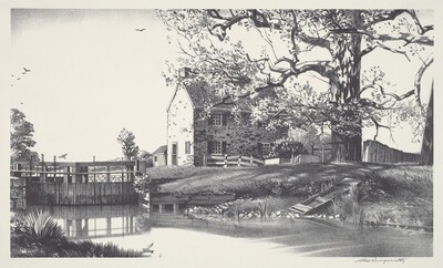 Along the Canal