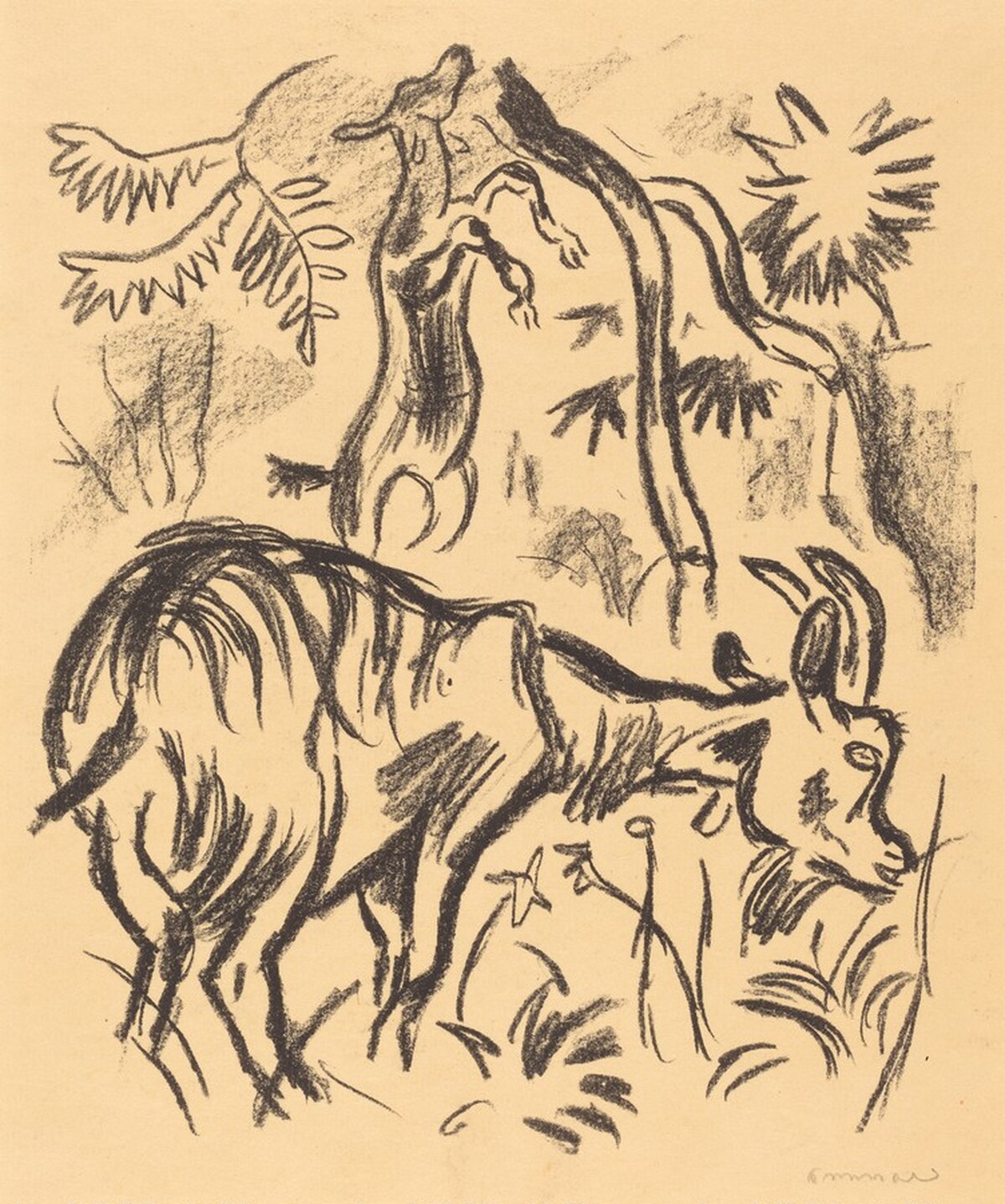 Goats by Richard Seewald