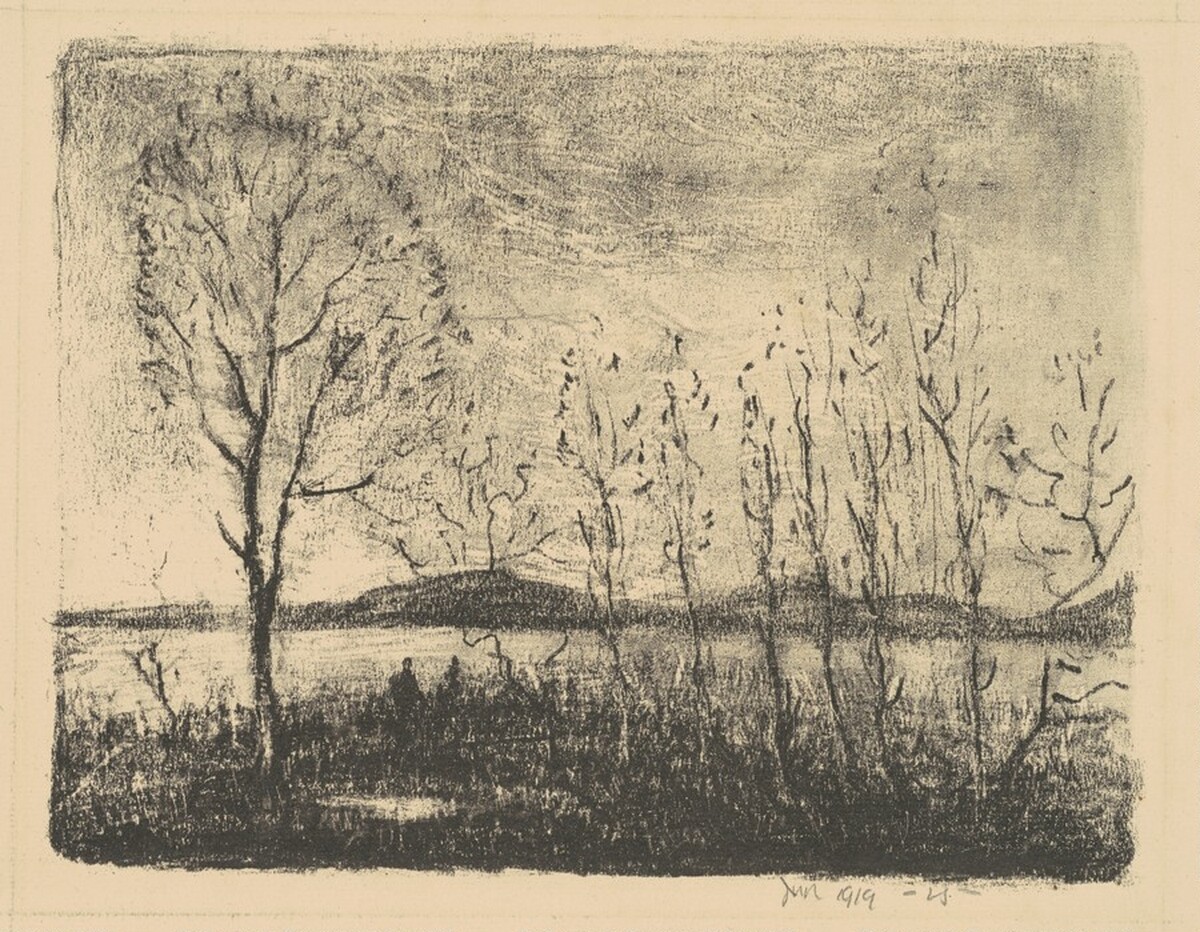 The Lake and the Trees by James N. Rosenberg