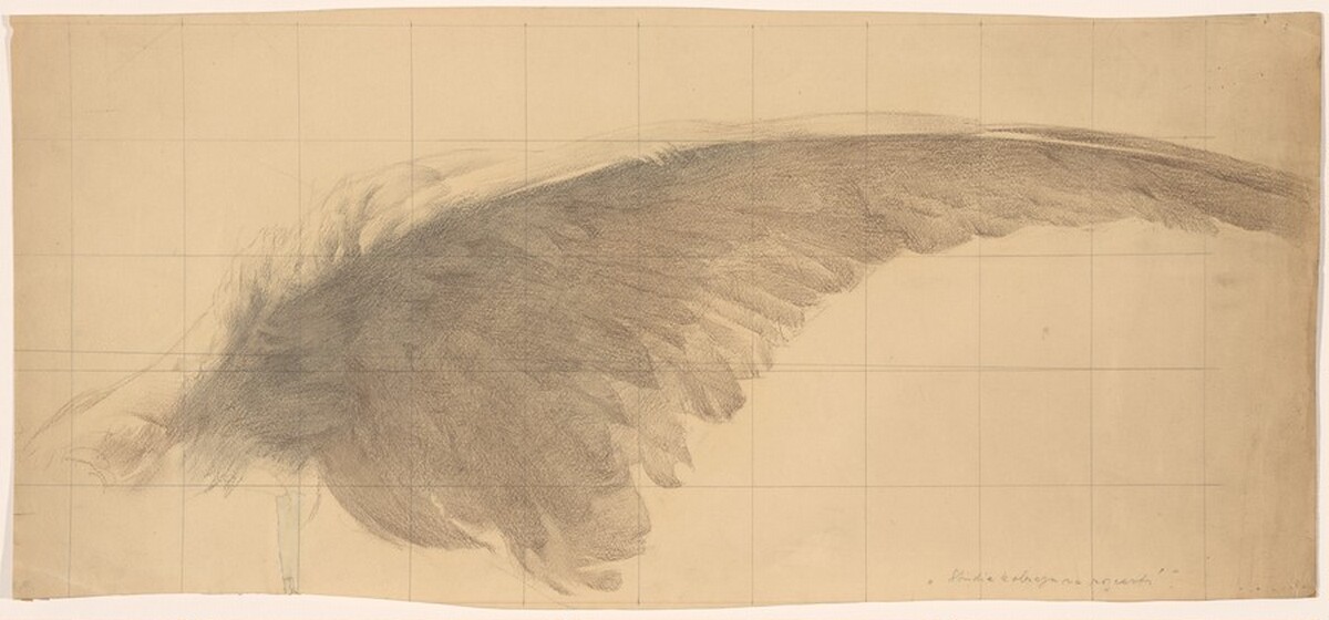 The Wing by Karel Vitezslav Masek