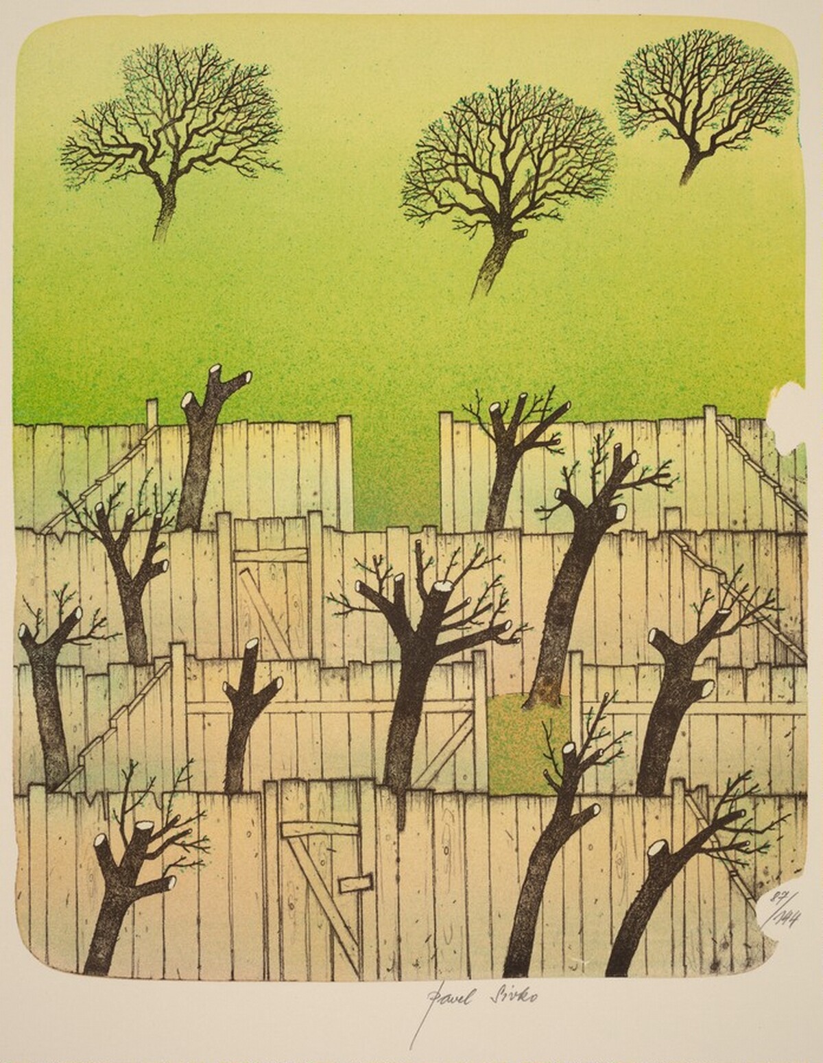 Mezi ploty/Between Fences by Pavel Sivko