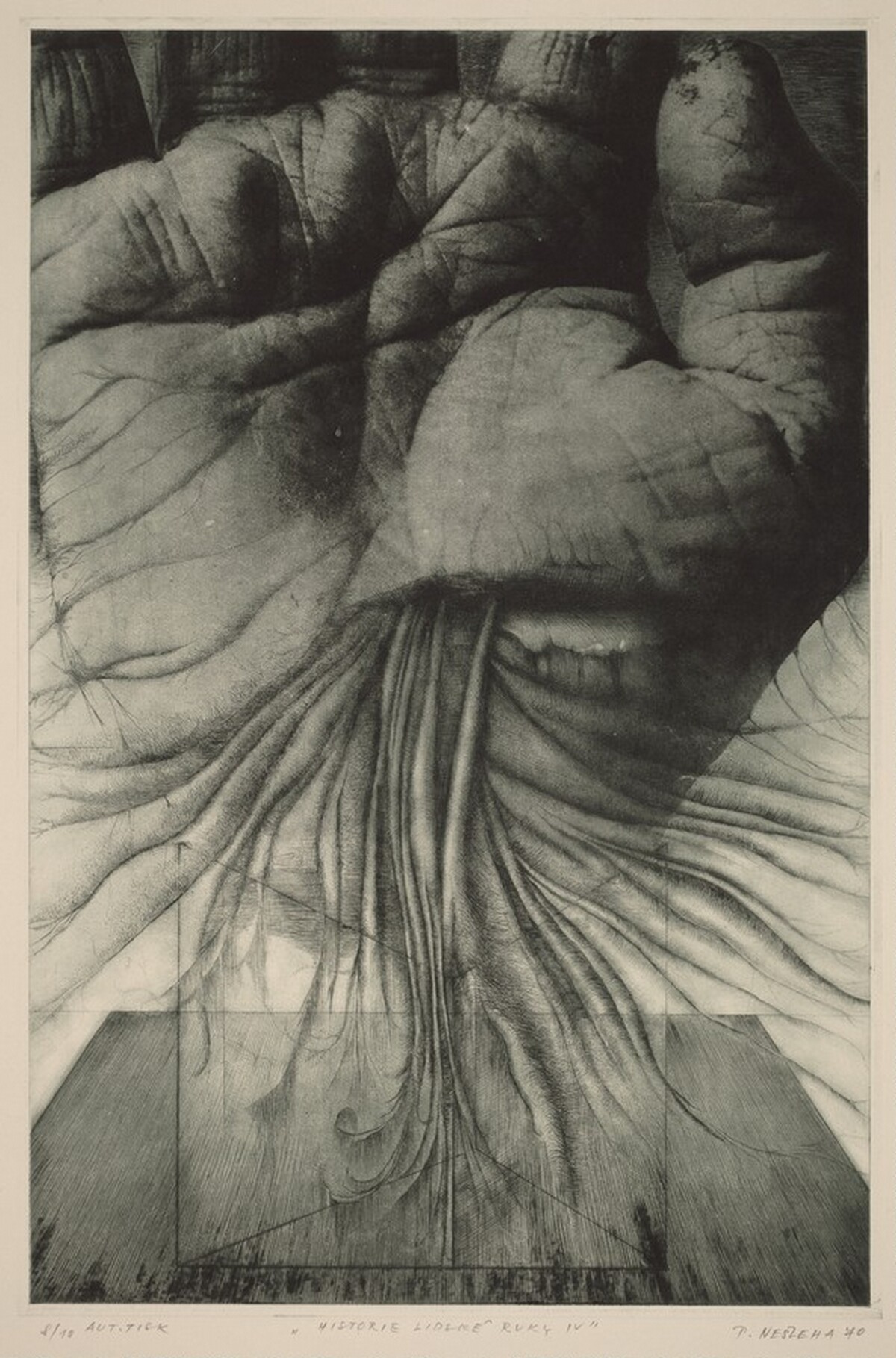 Historie lidské ruky IV/The History of Human Hands IV by Pavel Nesleha