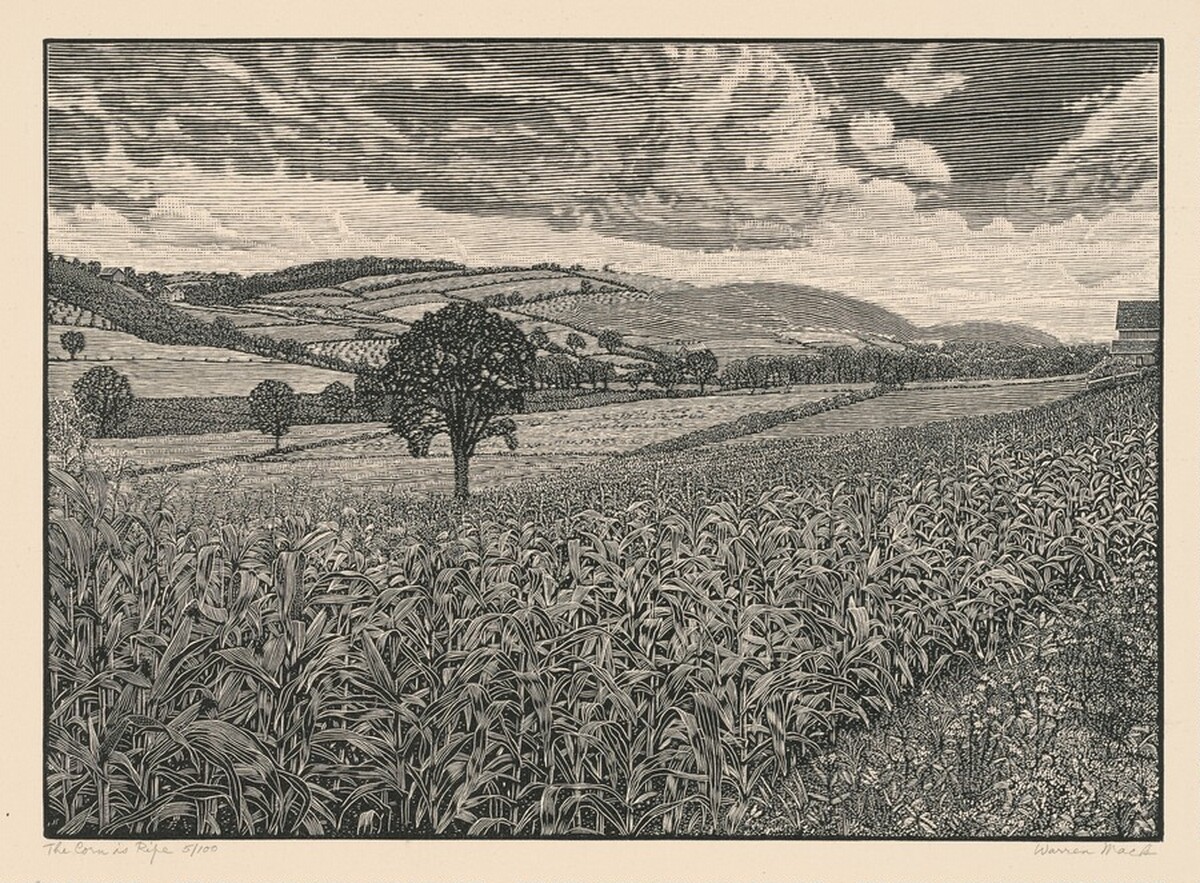 The Corn is Ripe by Warren Mack