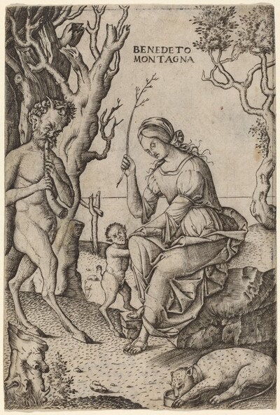 Satyr Family